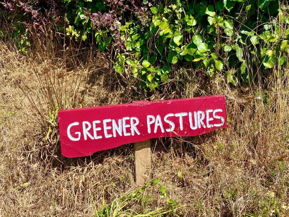 Greener Pastures - Normandy Self Catering Gites La Chapelle-Engerbold Exterior foto